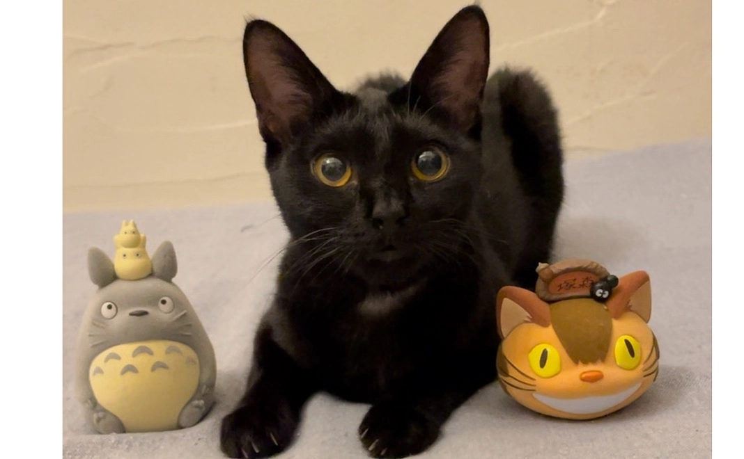 キーちゃん支援②感謝のメール