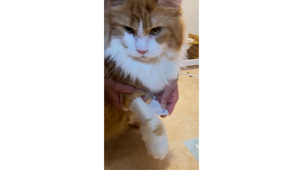 抗がん剤治療6回目