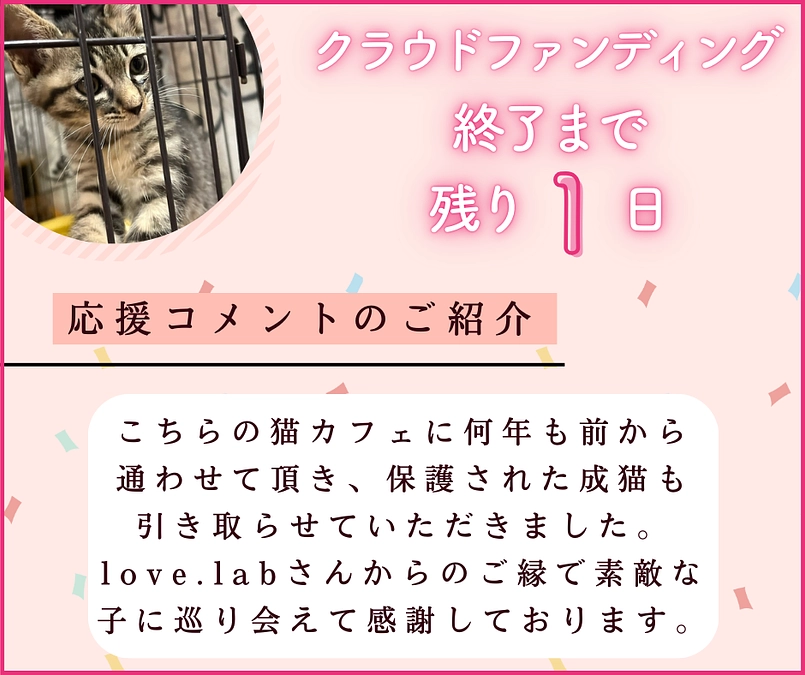 あと１日で募集終了！