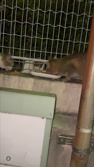 おはようございます😊