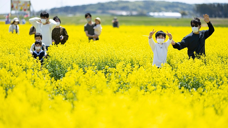 菜の花で作った巨大迷路「なの花めいろ」を来年も開催したい