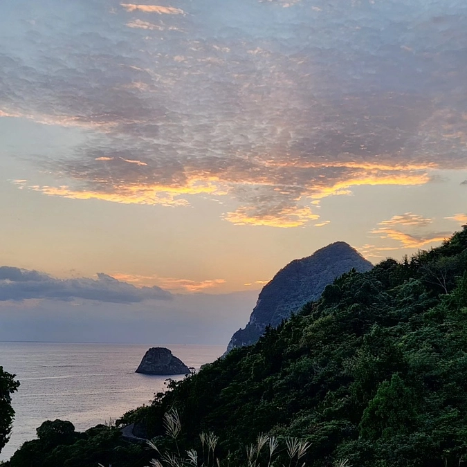 第４回レモンでも植えよう会開催しました！