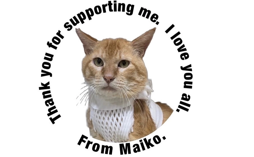 マイコーの応援、ご支援頂きありがとうございます。