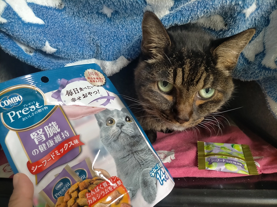 ご報告🙇‍♀️ ̖́-