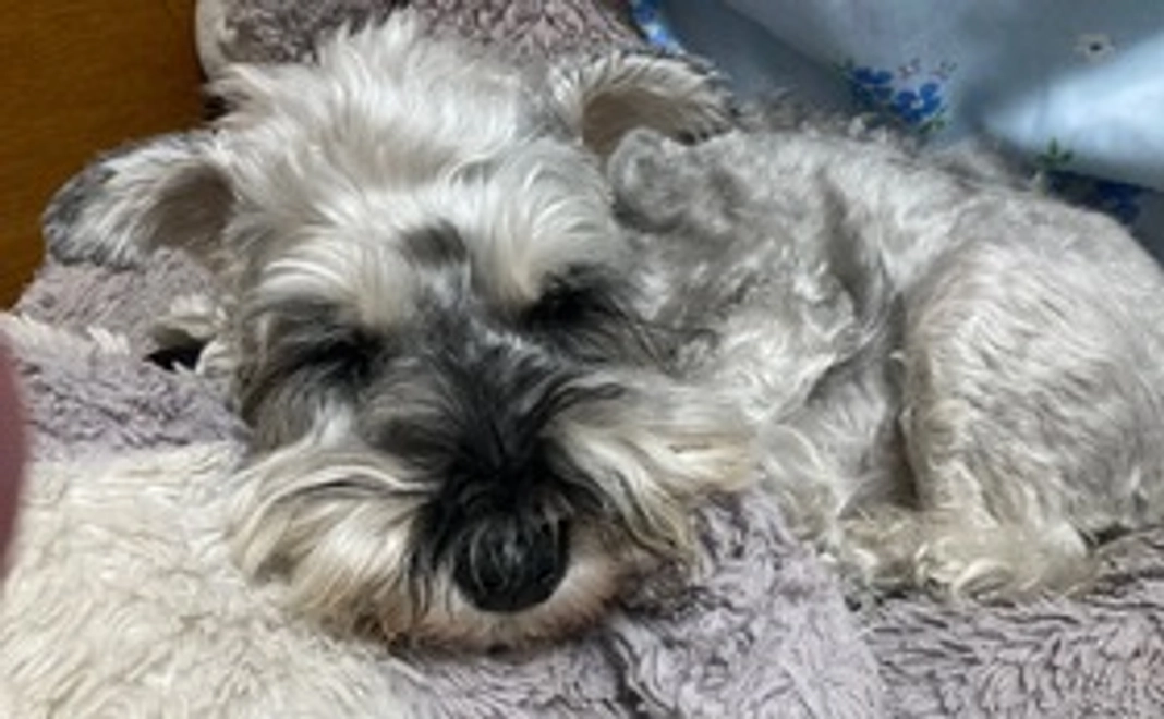 公開メールにてお礼