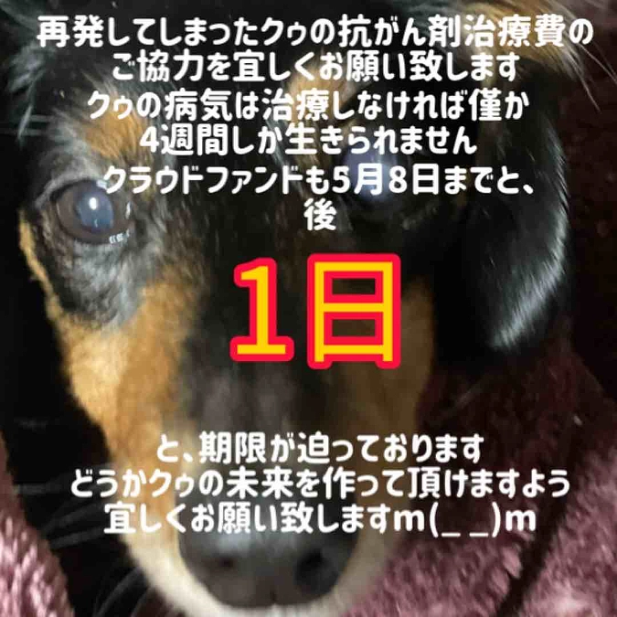 5月7日　直接頂きましたご支援金反映致しました