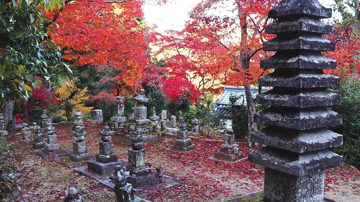 立命館大学考古学研究会【京都鷹司家墓所調査　報告書作成費】