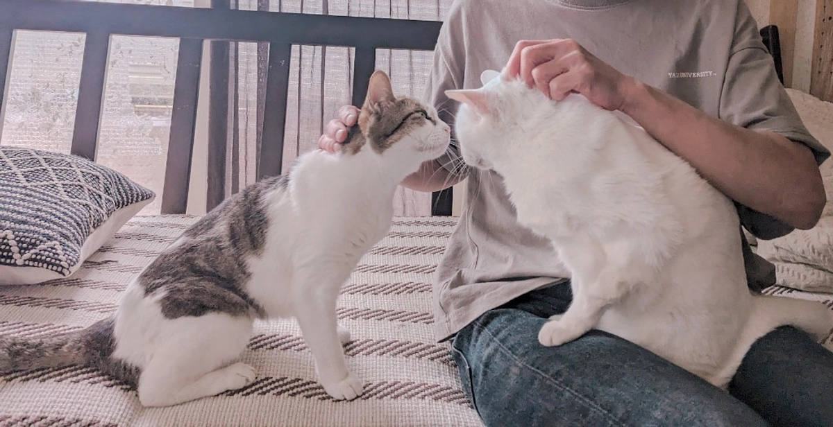 🎉支援者様からの応援メッセージ①🎉