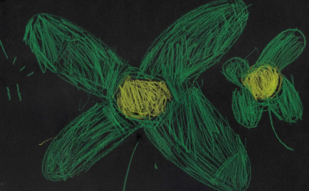 【子供たちに最高の花火を！】②