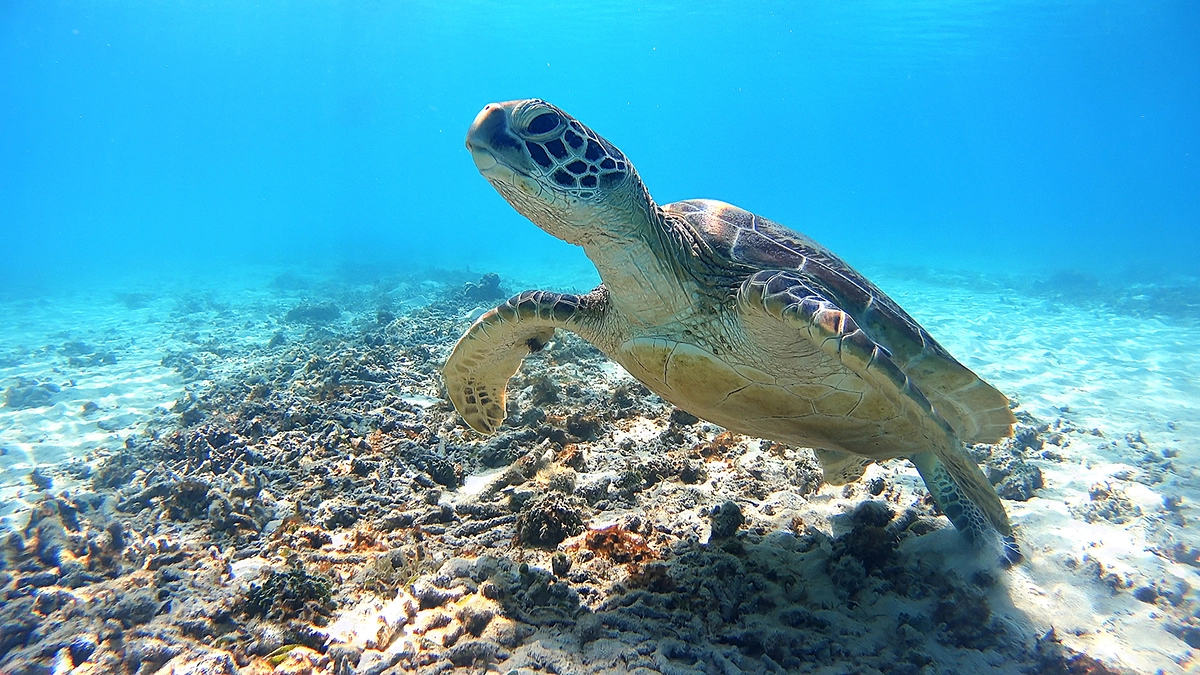 当社団の活動報告は、ホームページのトピックスページをご覧ください！