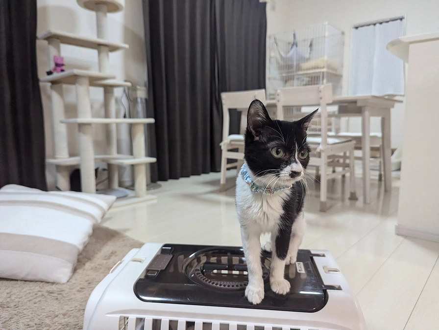 １月２１日は２件２頭のお届けがありました♪