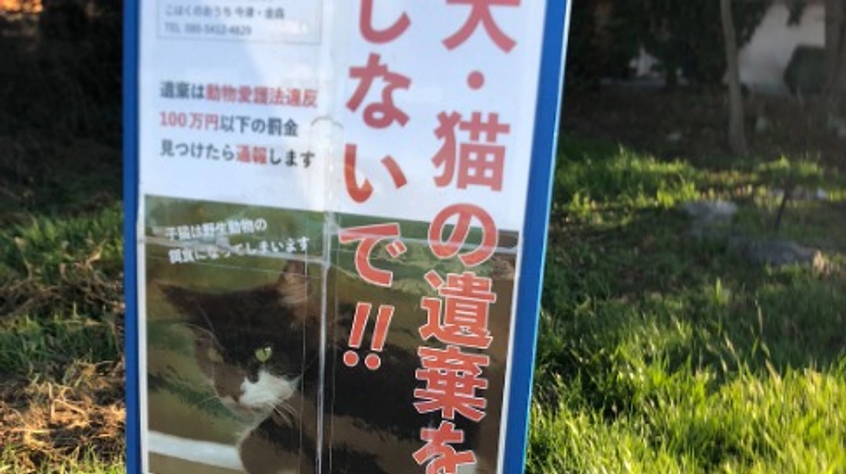 居場所を奪われる地域猫。年内約２０匹緊急レスキューの現場。