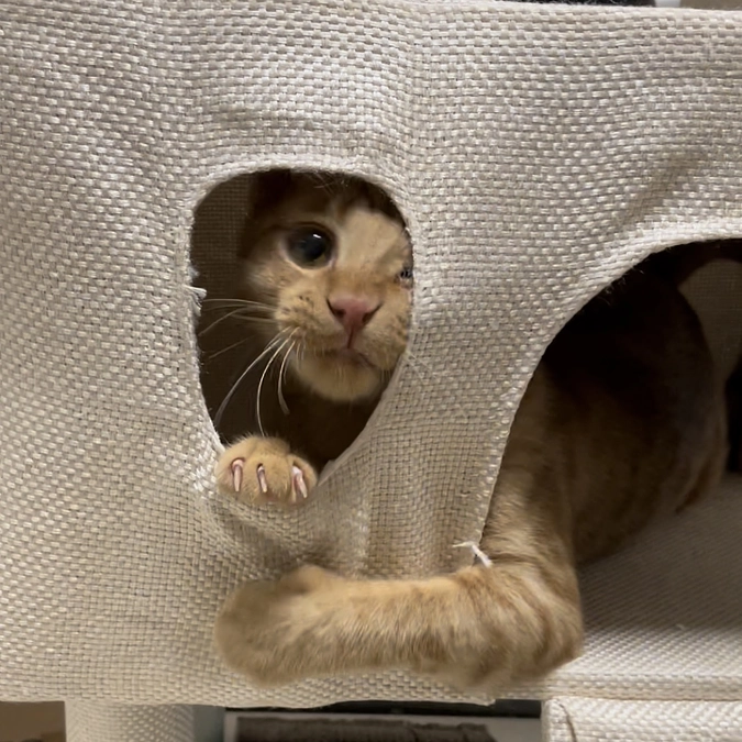 最近のめいちゃん⑦