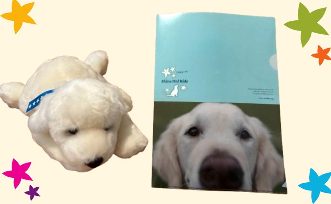 ベイリーのぬいぐるみ(全長約33cm)・クリアファイル・新作現役ファシリティドッグのポストカードコース【税制優遇対象外】