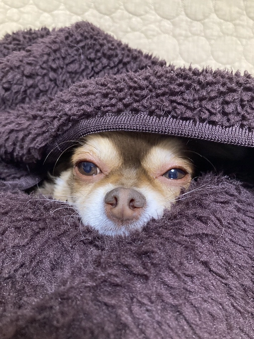 体調が不安定に