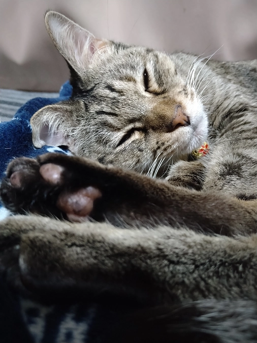 8月5日通院記録〈投薬26日目〉