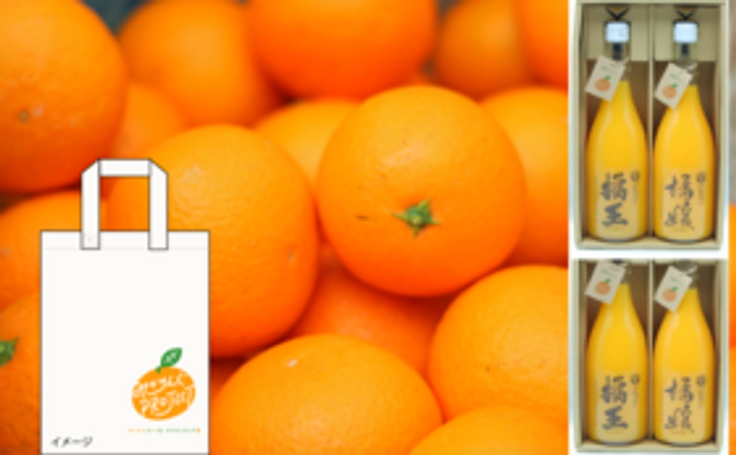 【生の柑橘＆ジュース】あま～い訳あり柑橘（約10㎏）3箱＆ジュース（720ｍｌ）4本＆トートバック＋みかん便り
