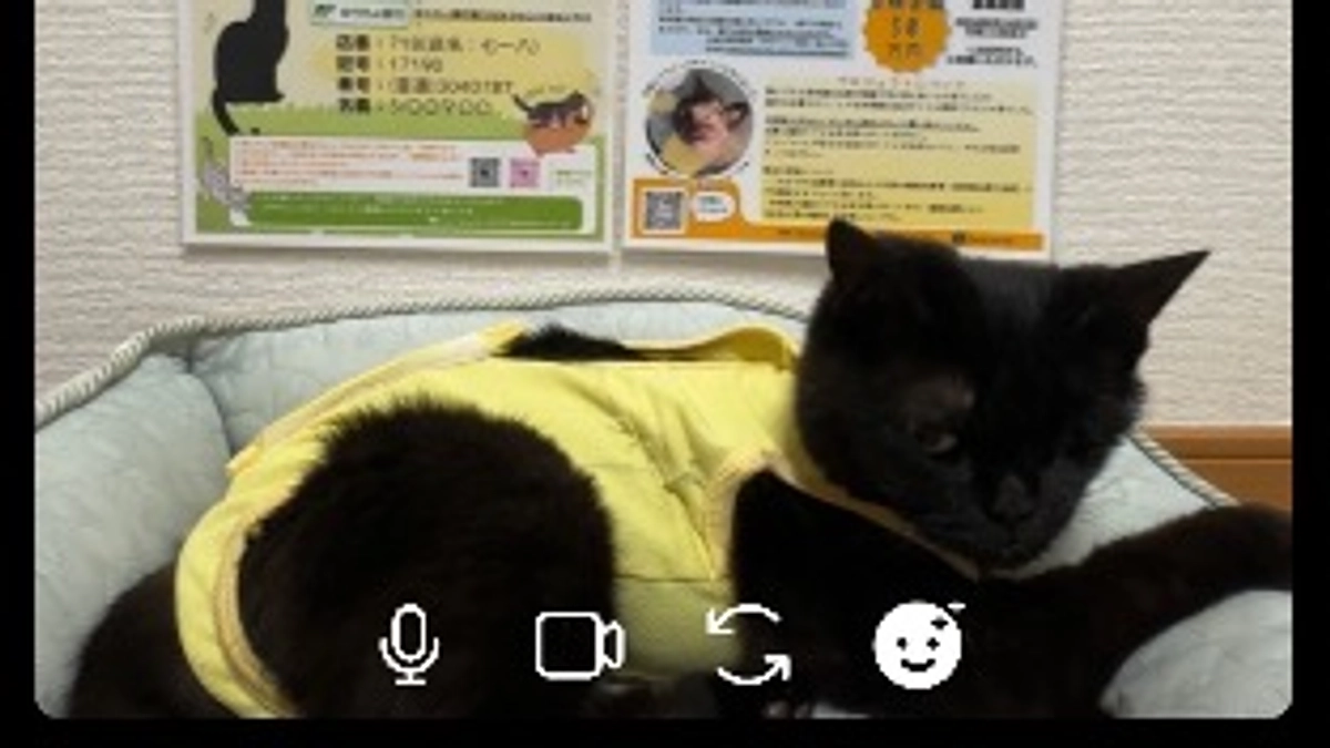 6/8(土)インスタLiveを行いました