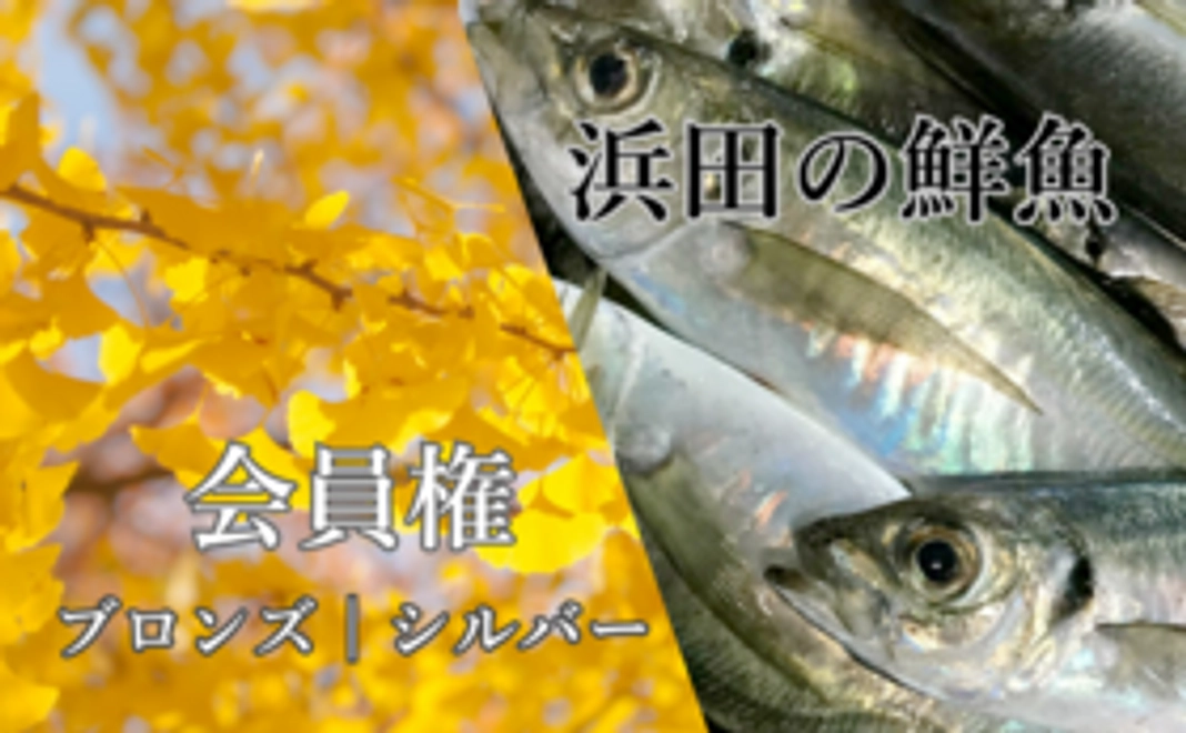 【ブロンズサポーター】会員限定の近況報告、イベントのご案内をさせていただきます