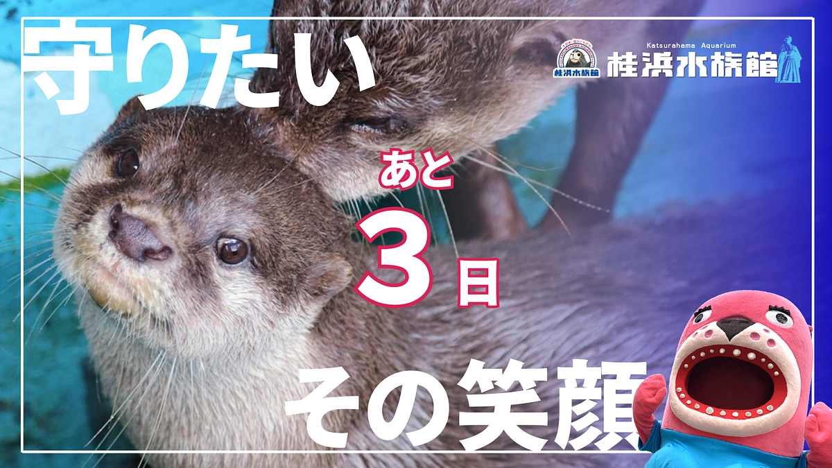 ＼あと3日！／ネクストゴール達成に向けて最後まで挑戦を続けます！