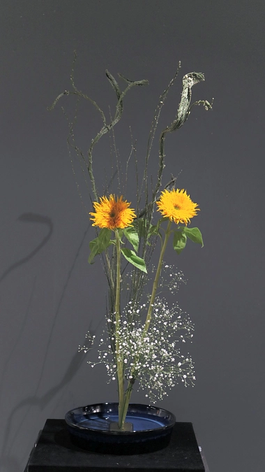 エントリーナンバーA11