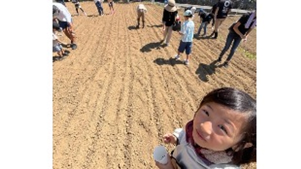 未来への種まき