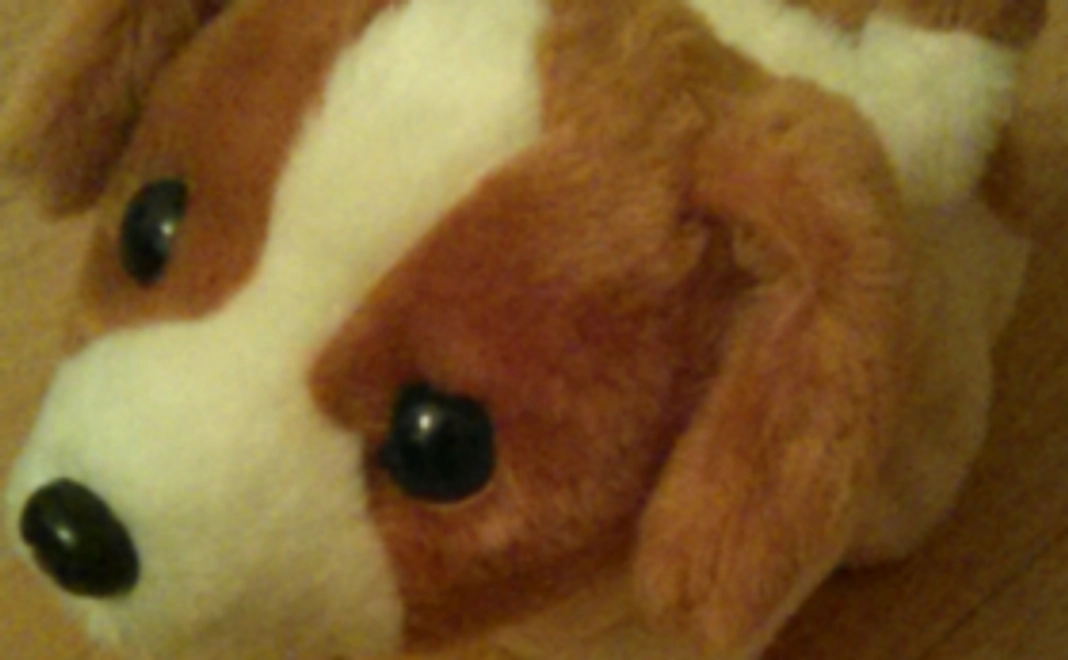 サンクスレター