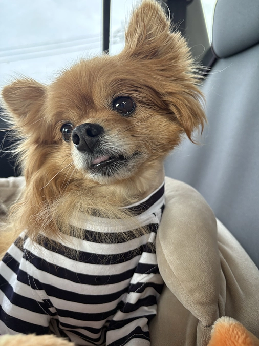 5月9日に退院しました