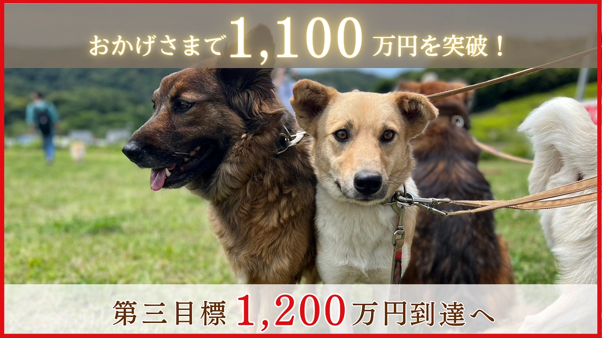 【1100万円突破！】皆様に感謝！応援メッセージのご紹介です！