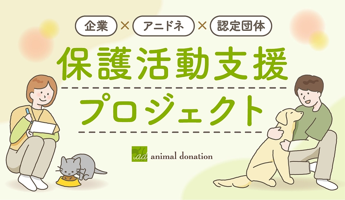 【もうすぐ400万円！】保護活動支援プロジェクト始動！保護猫の生活、食事、健康など環境改善を目指して