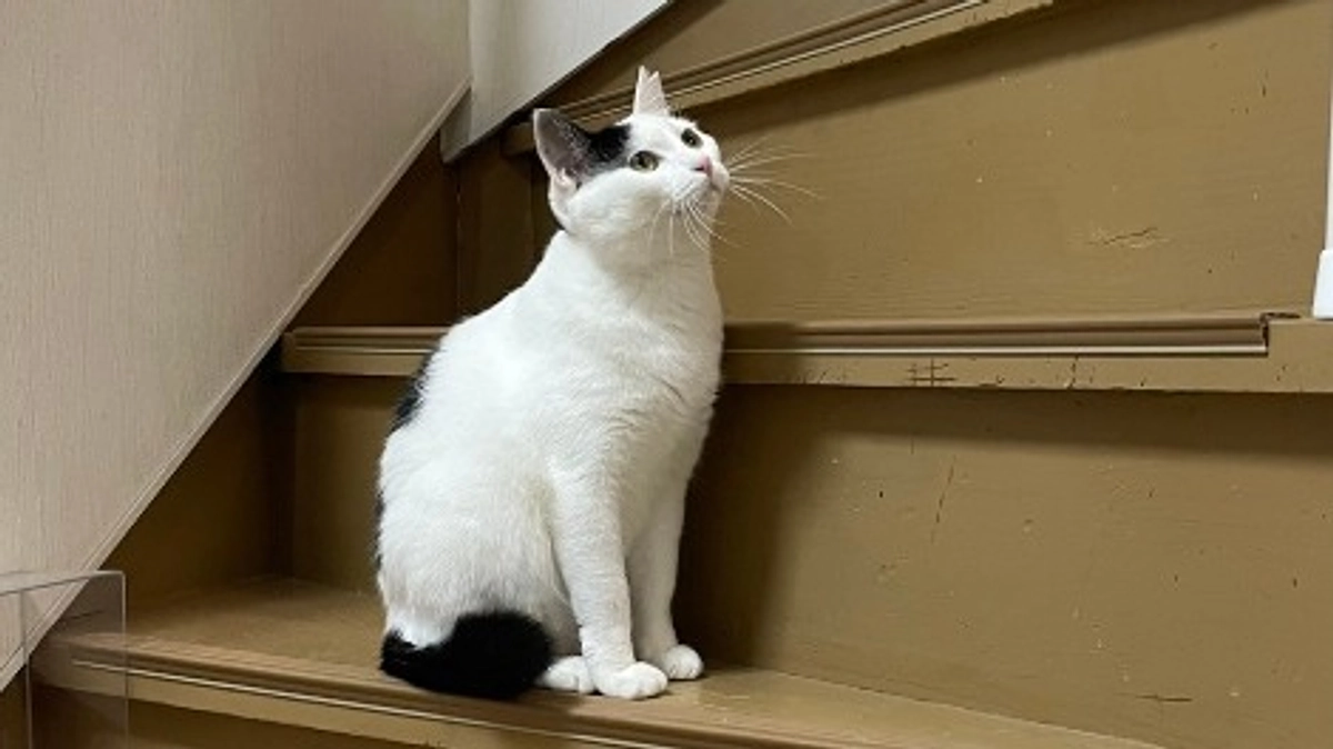 クラファン開始して３日目！