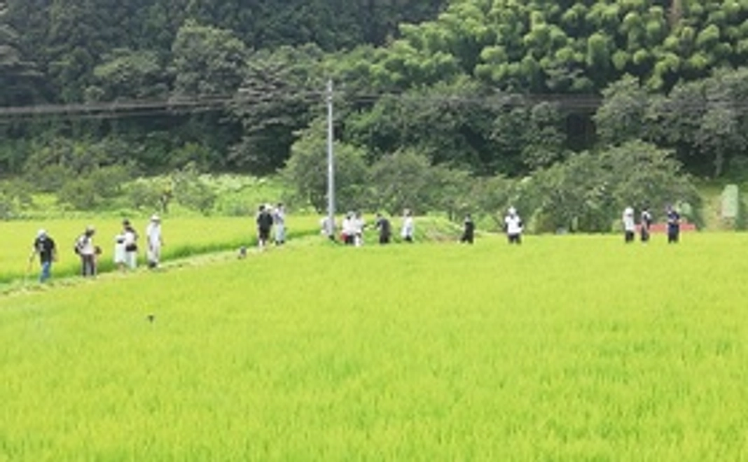【支援型:リターンなし】感謝のメールと活動報告