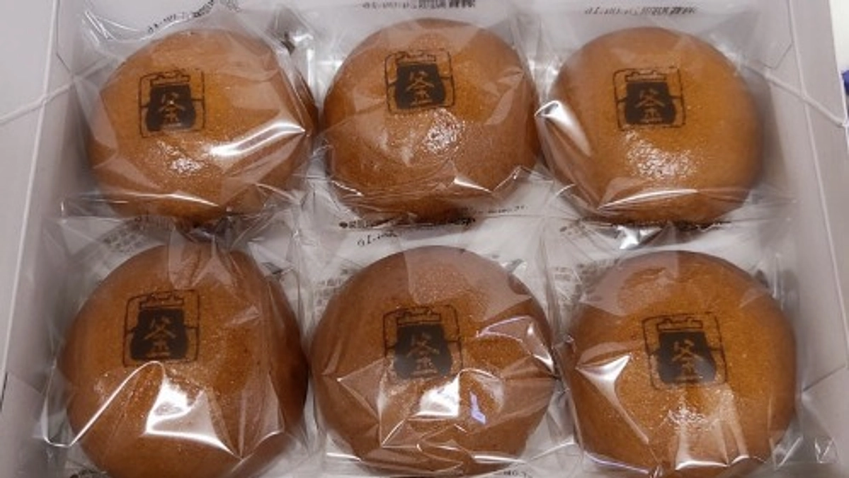  【残り13日！あと約120万円で達成です！】譲渡会ありがとうございました🌷