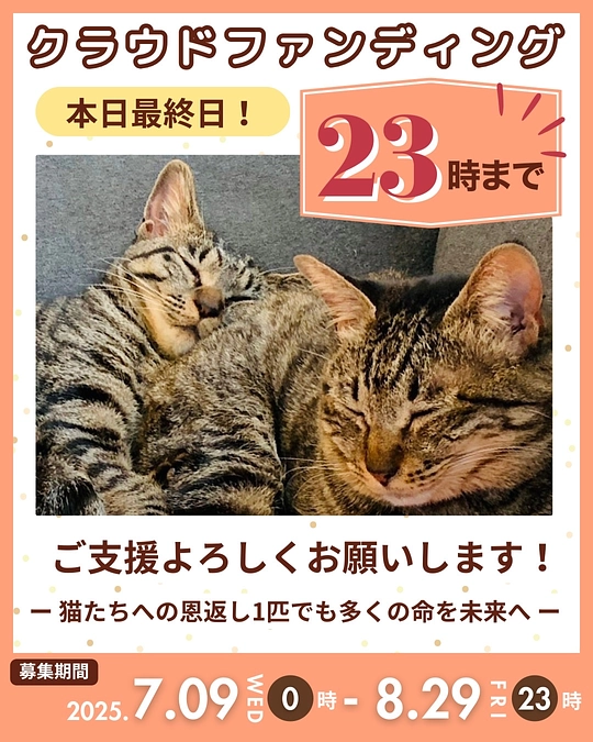 いよいよ最終日！本日23時まで(ง •̀ω•́)ง