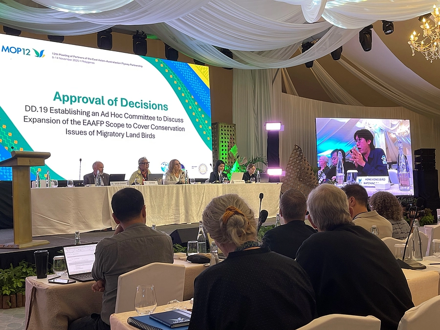 国際協力の枠組みフライウェイ・パートナーシップで、シマアオジたちの保全も議論してもらえるように