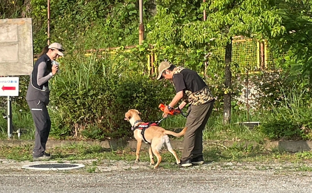 『推し』救助犬・捜索犬の写真付きご支援感謝メールとセミナー報告レポート