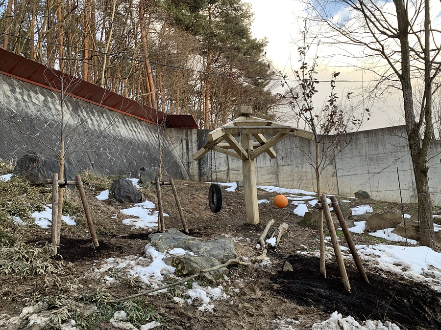 ニホンツキノワグマ放飼場に植樹をしました！！