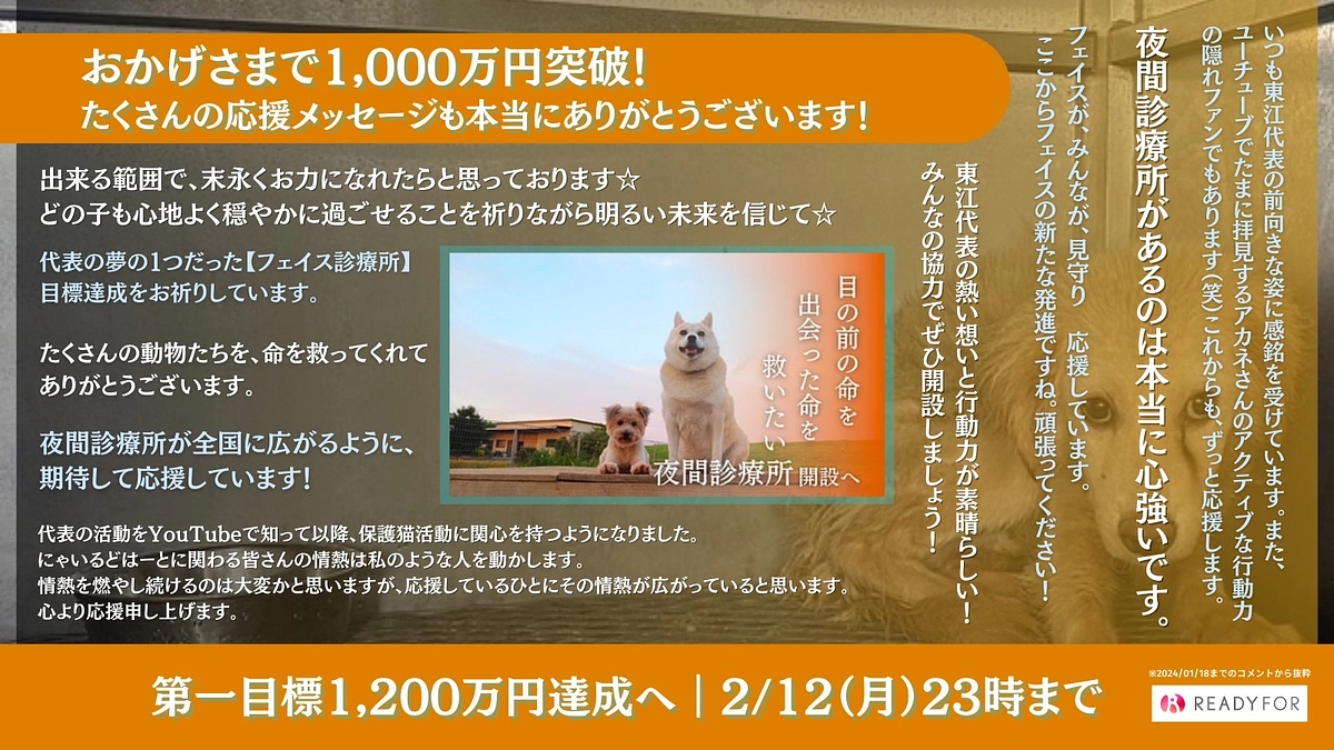石川県珠洲市から２匹の猫ちゃんを預かる日‼️