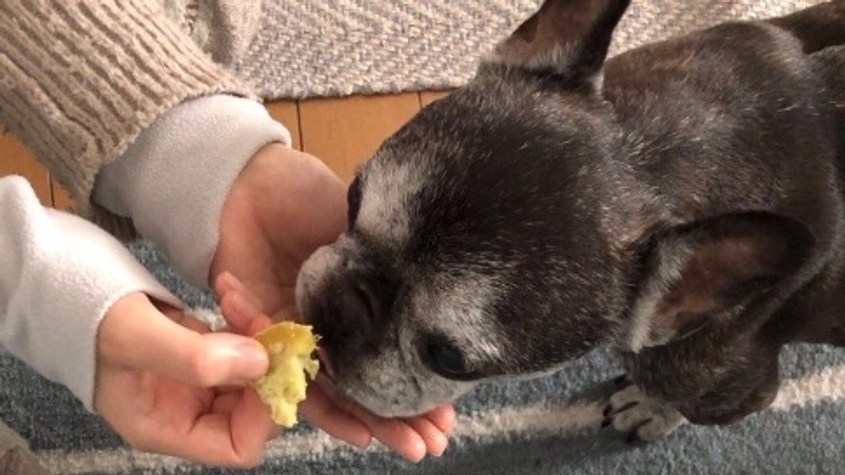 最終収支報告（サムネ画像は最後にお芋を食べた時の写真です）