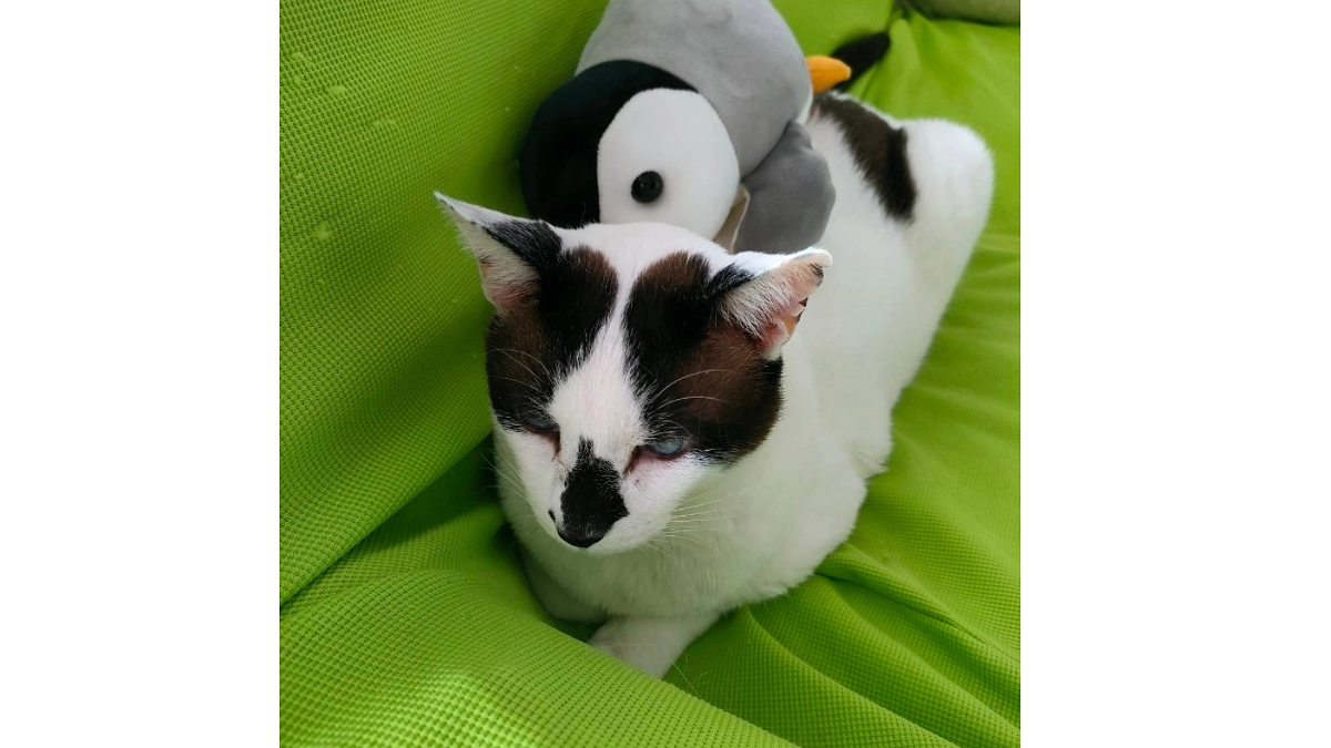 【250万円超えました！】リノポポキファミリー　募集サイト担当よりご挨拶