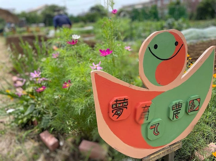 夢育て農園Open Day、次回は７月８日（土）AMです！