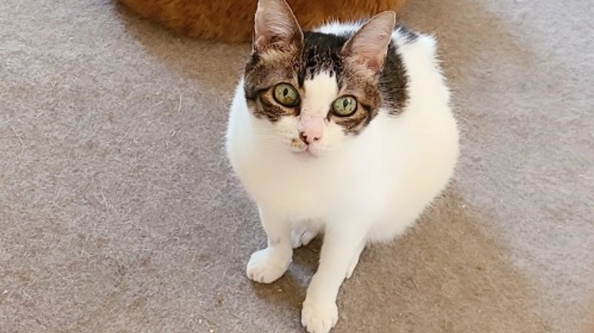 【ご支援金額200万円まで残り6.7万円です！】ご支援物資のお礼📦