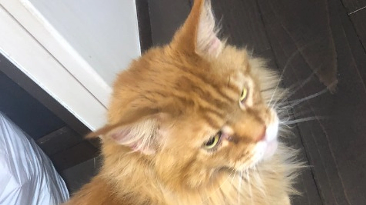 残り9日となりました