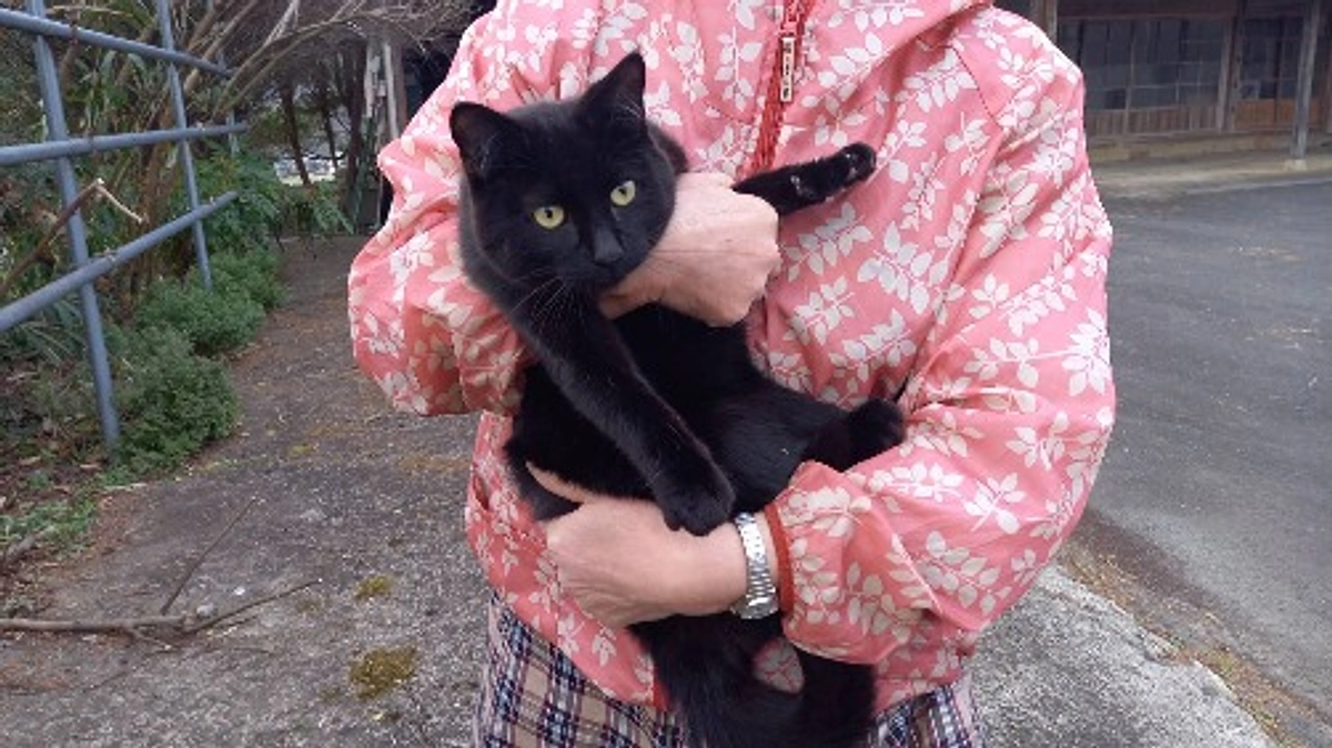 頑張れ黒ちゃん！