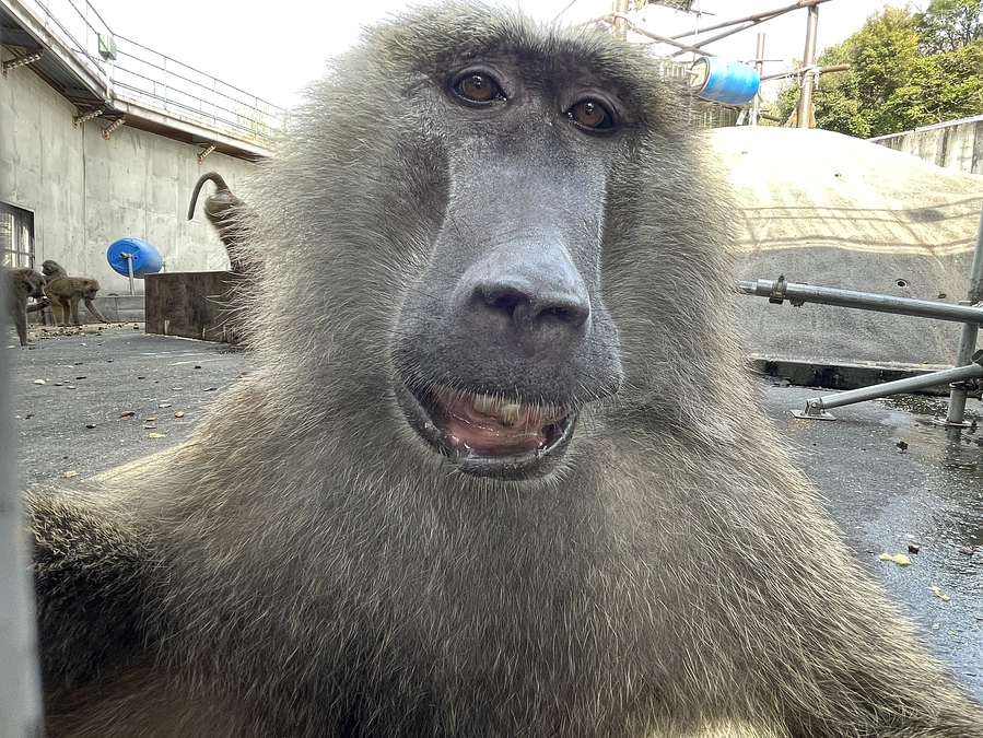 【クラファン活動報告④】ヒヒの城のKA暖房達成！