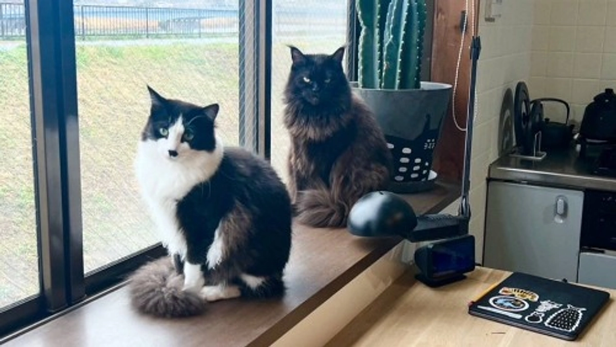 【ご支援総額140万円まであと18,000円です！】里親様から幸せ報告をいただきました💐