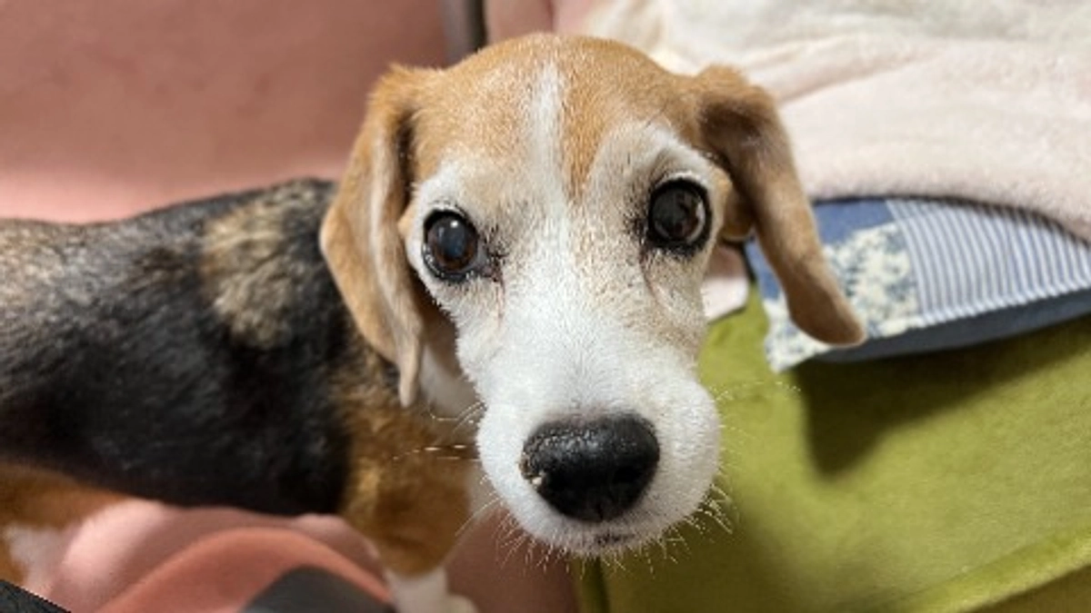 10/9 落ち着いては下痢、安定から不安定の繰り返し