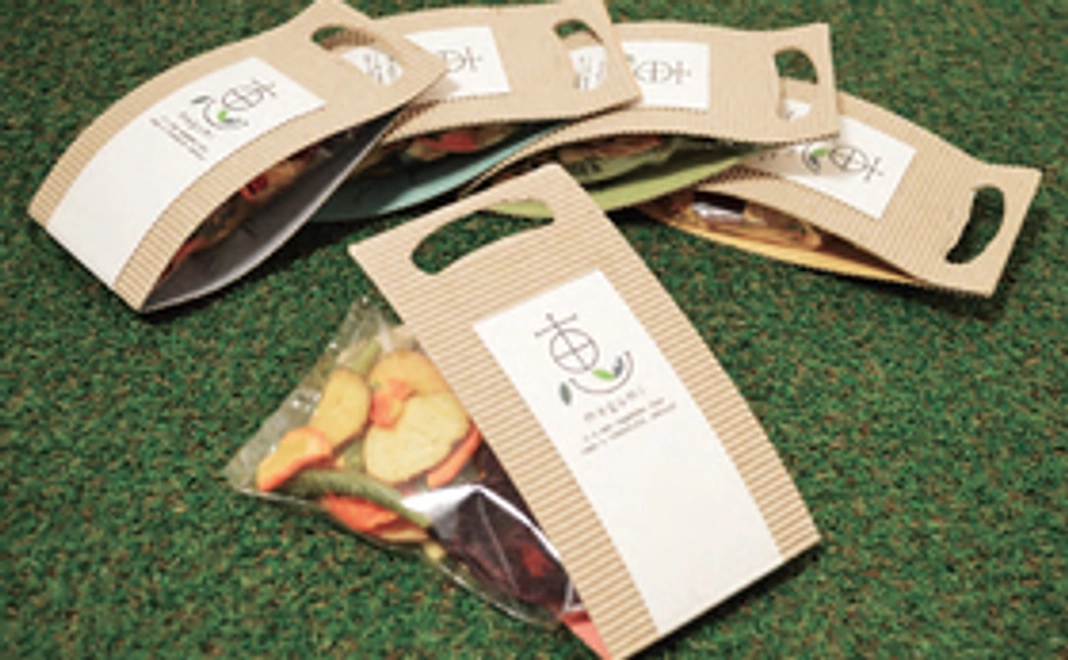 「鎌倉の恵」野菜チップス2袋