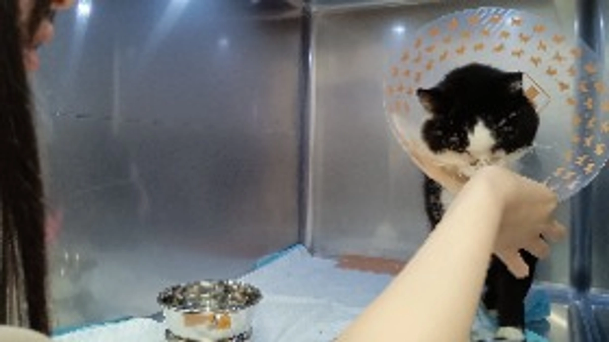 再入院４日目。元気、、、ないの？