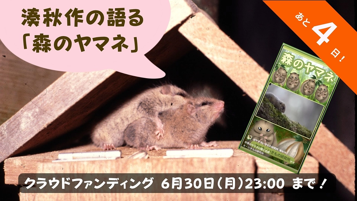 🌿  湊秋作が語る「ヤマのおはなし」動画公開！